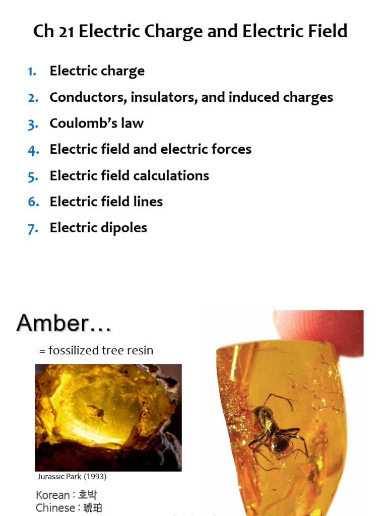 CH 21 | PDF | Electric Charge | Electric Field