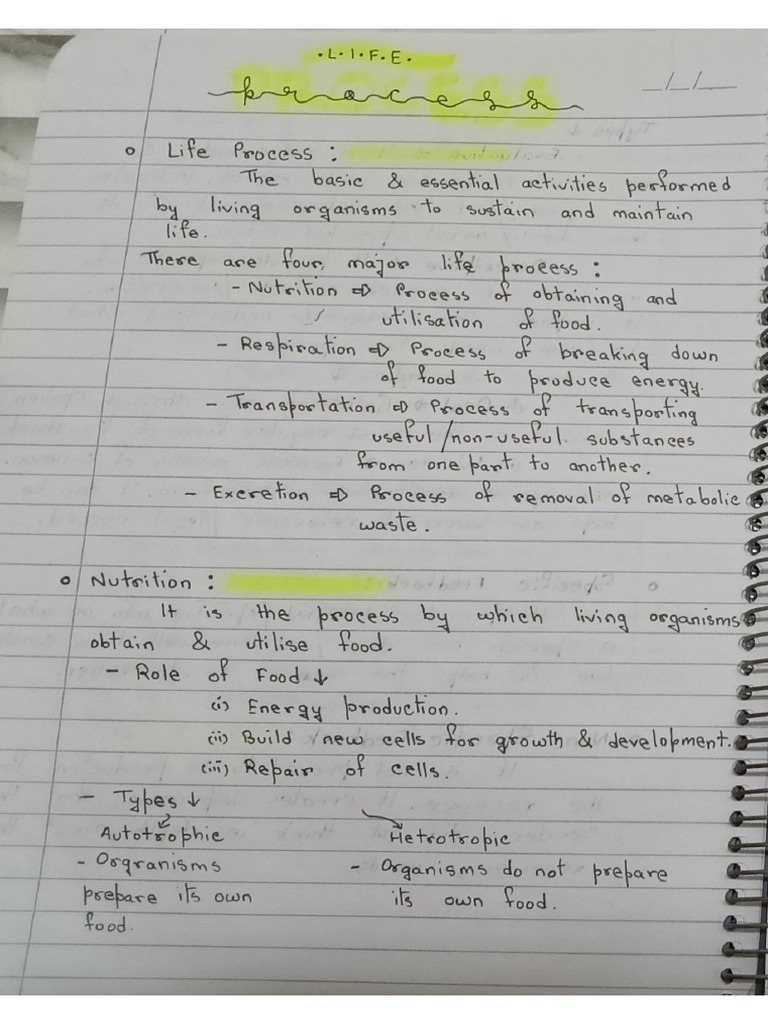 Life Process Class 10 Biology, Revision | PDF