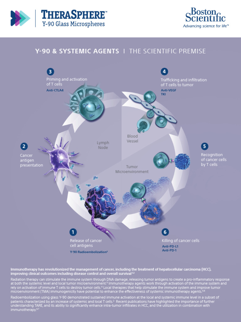 TheraSphere Systemic Brochure | PDF | Immunotherapy | Cirrhosis
