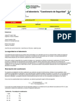 Cuestionario de Seguridad PDF