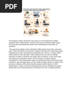 12 Stages of Coffee Production Process | PDF