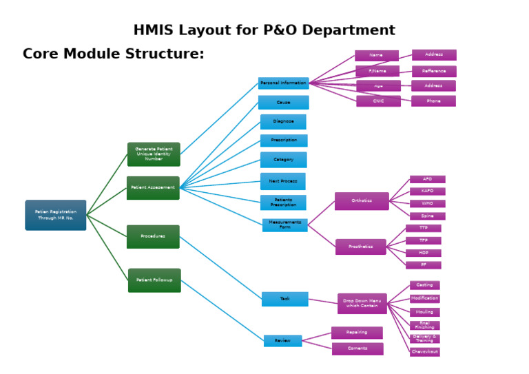 HMIS Layout For P | PDF