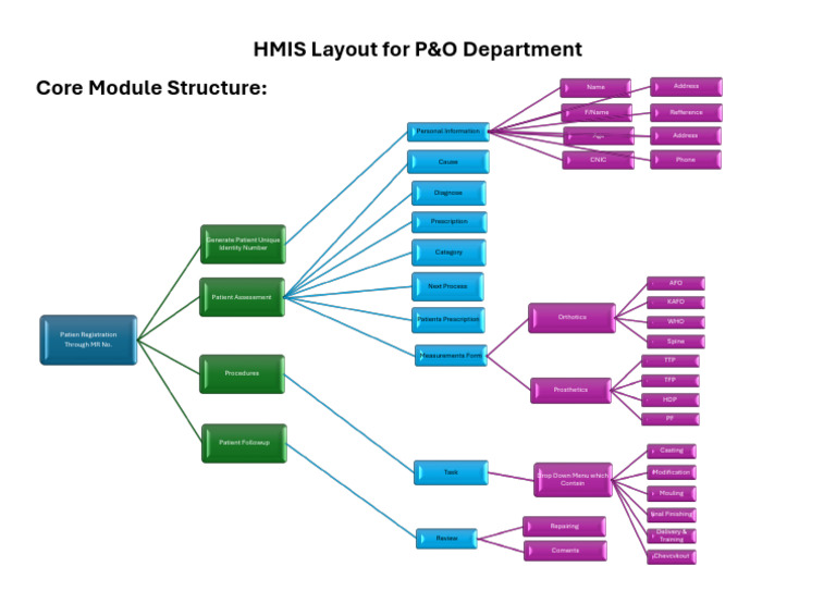 HMIS Layout For P&O | PDF