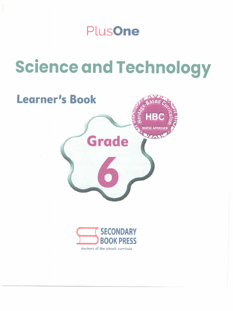 Grade 6 ST | PDF