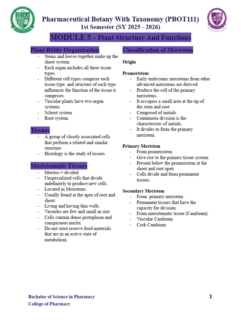 Module 5 - Botany Reviewer | PDF | Tissue (Biology) | Plant Stem