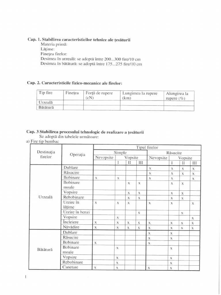 PT2 Proiect de An IEI 24-25-3 | PDF