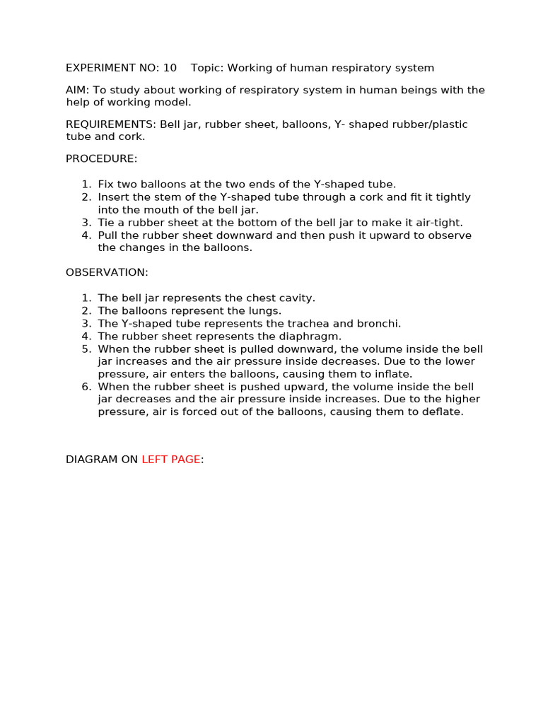 EXPERIMENT NO 10 - Mechanism of Breathing | PDF | Respiratory System | Lung