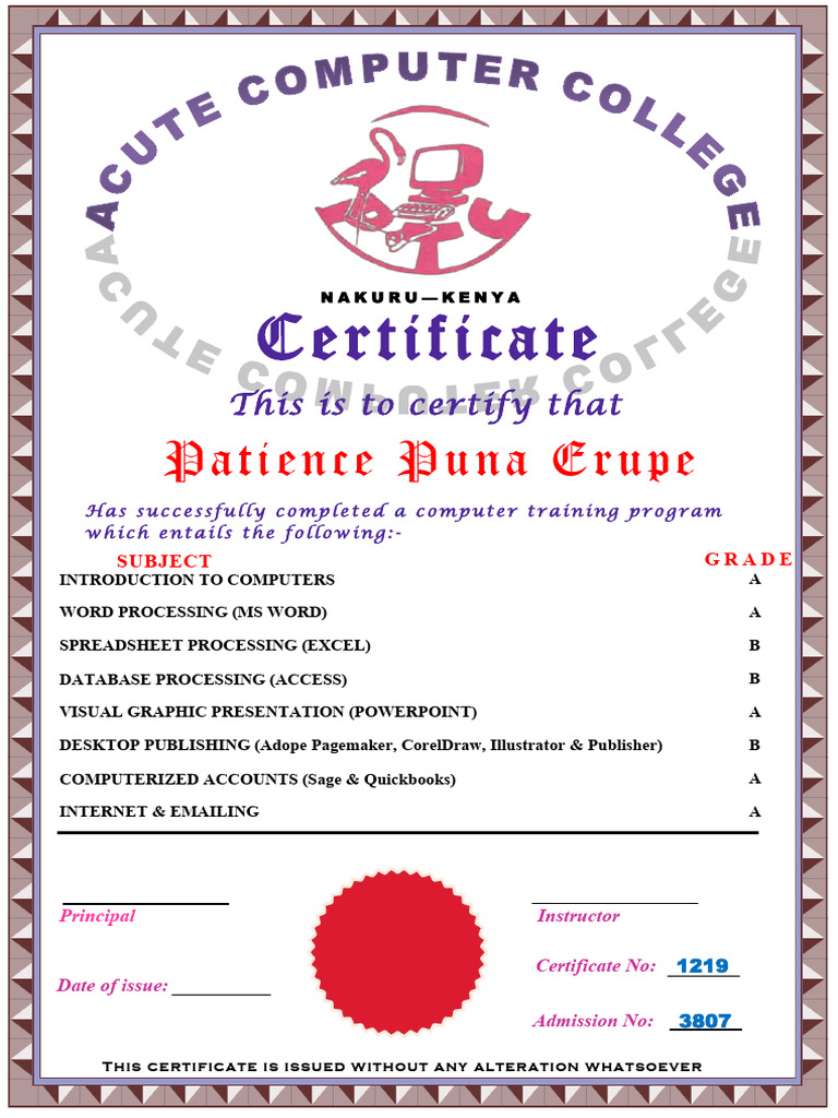 Computer Certificate | PDF