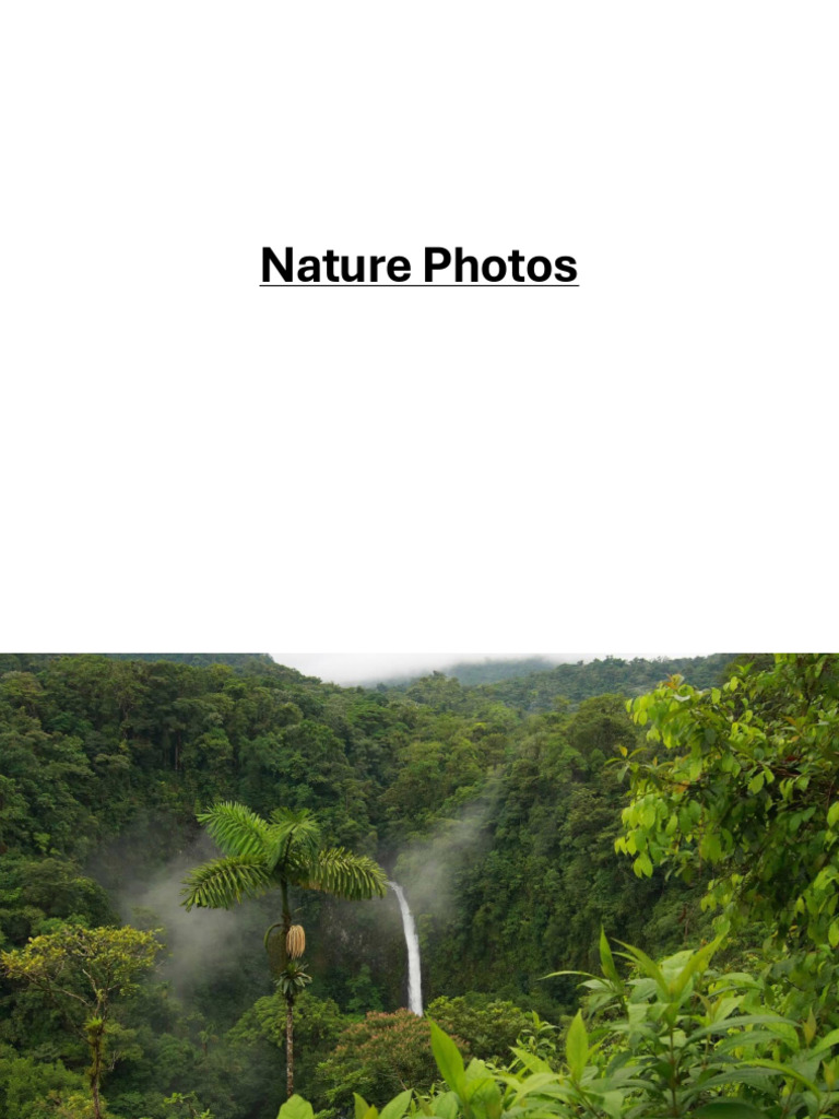 Nature Photos1 | PDF