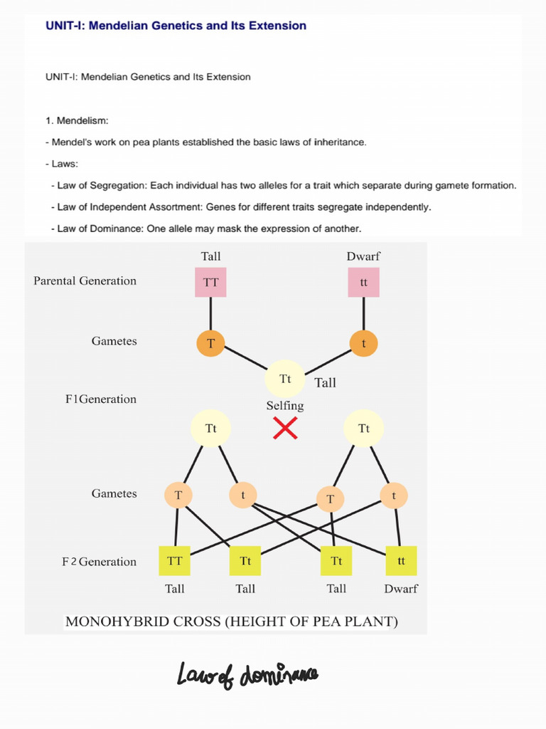 Unit1 250623 133355 | PDF