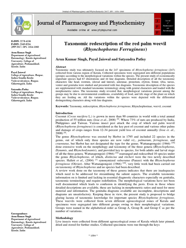 Taxonomic Redescription of The Red Palm Weevil | PDF | Anatomical Terms ...