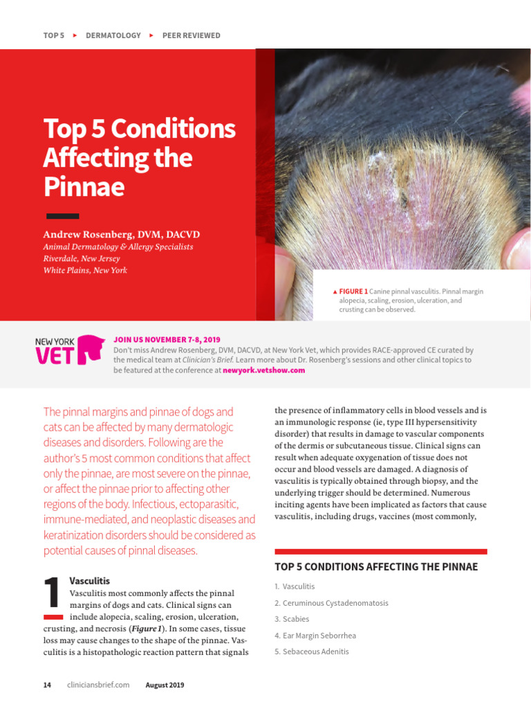 Top 5 Conditions Affecting The Pinnae PDF | PDF | Medical Specialties ...