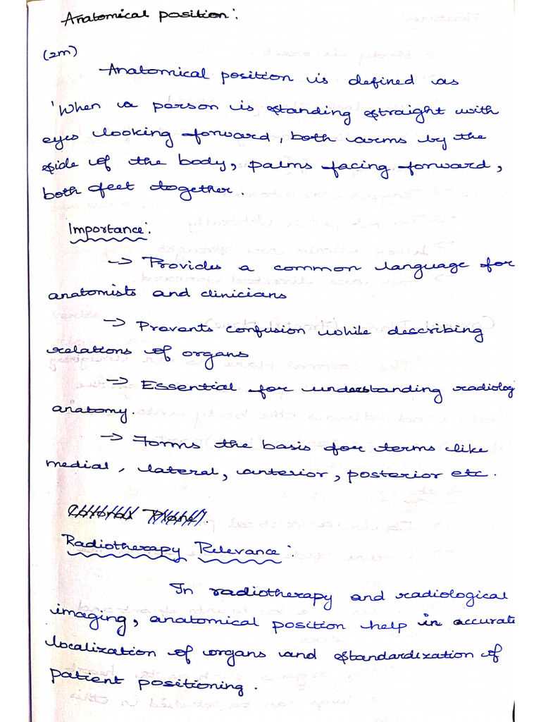 Anatomy Notes | PDF