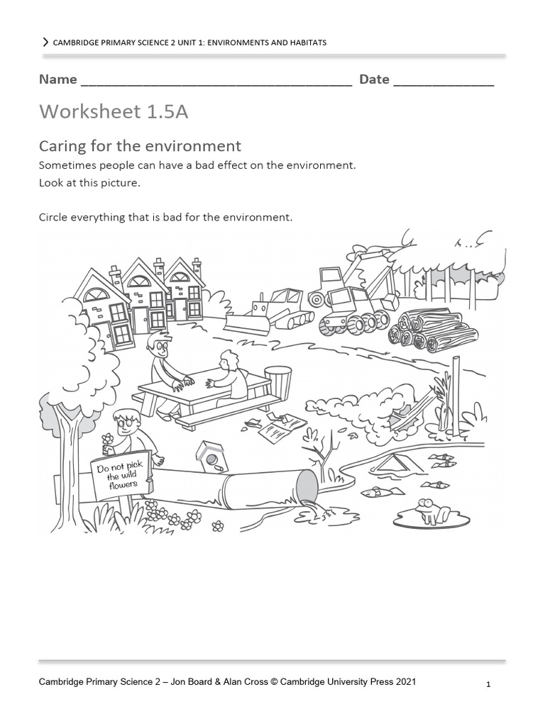 P Science 2 Worksheets Unit 1 | PDF | Trees | Organisms