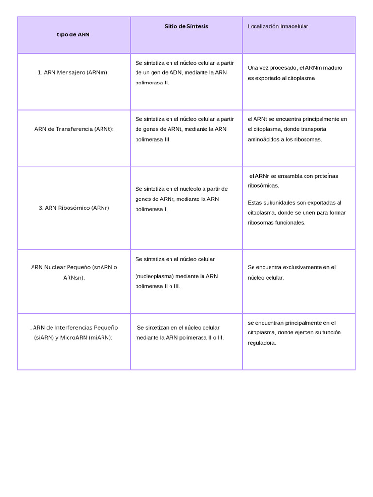 Arn Mensajero (Arnm) :: Tipo de Arn Sitio de Síntesis | PDF