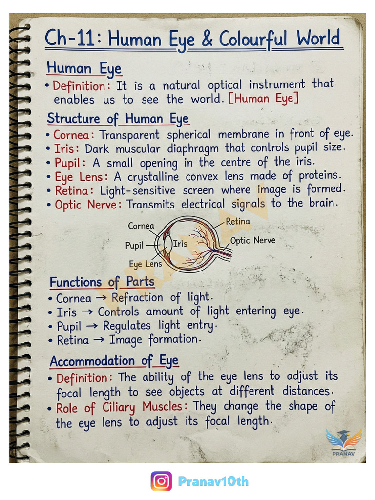 Human Eye and Colourful World | PDF