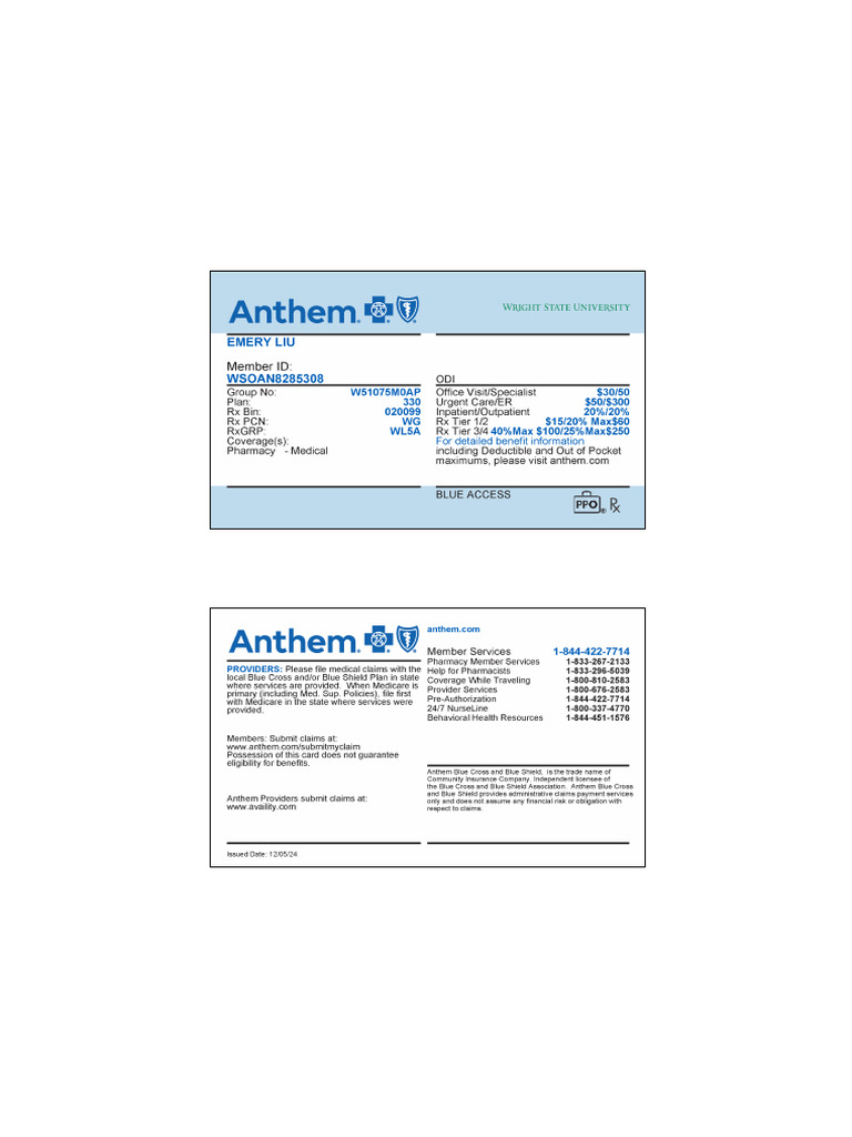 Wellpointcentrallocal 39750707 | PDF