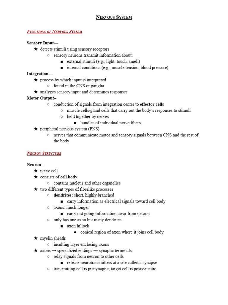 Notes #48.1 - Nervous System | PDF | Nervous System | Neuron