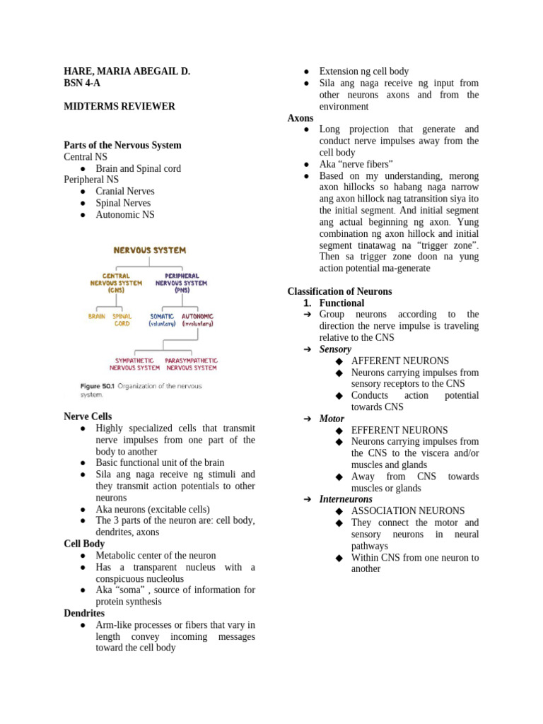 Midterms MG and GBS | PDF | Acetylcholine | Neuron
