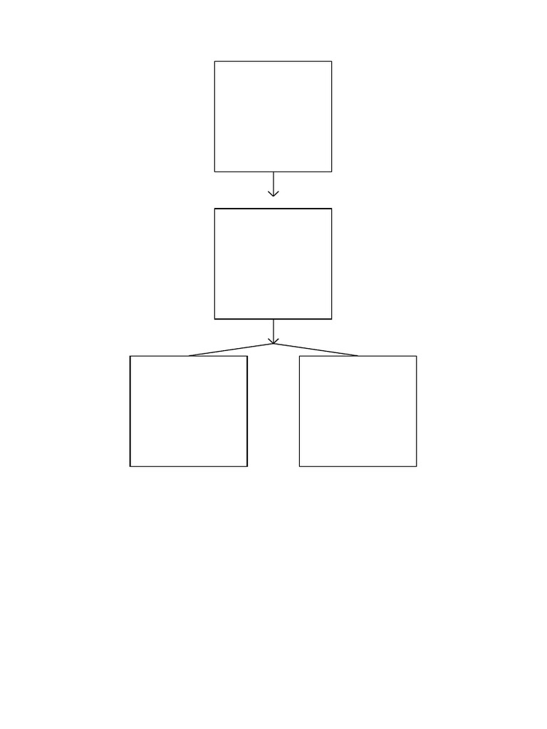 Conceptual Framework Square Boxes With Arrows | PDF