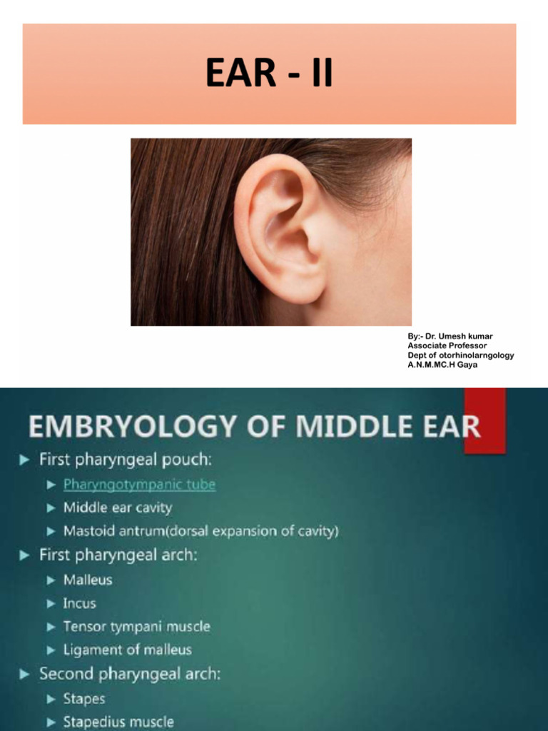 Anatomy of Middle Ear by DR Umesh Kumar Dept of Ent | PDF