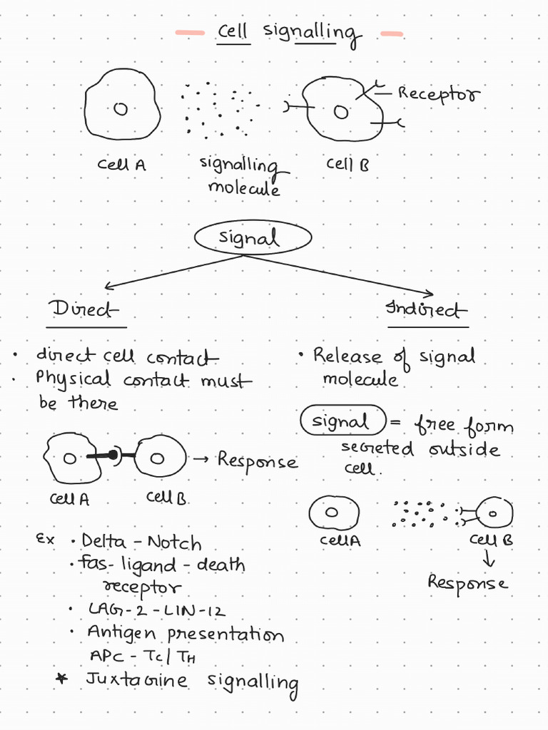 Types of Cell Signalling - 230222 - 080419 | PDF