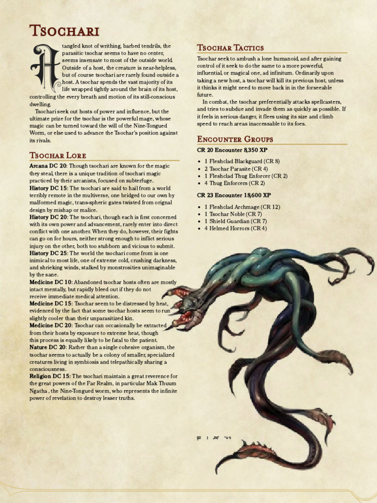 Tsochari - The Homebrewery | PDF