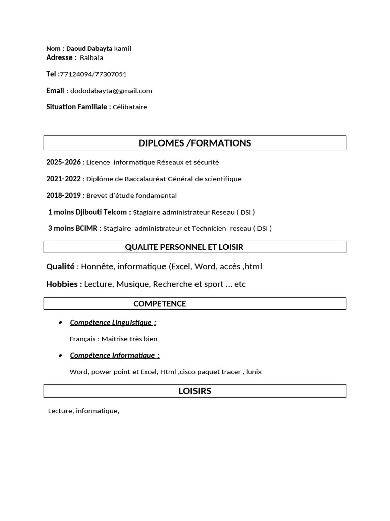 CV Daoud | PDF
