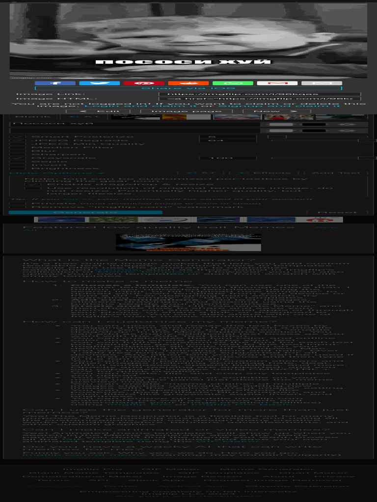 Low Quality Bait Meme Generator - Imgflip | PDF | Software | Computing