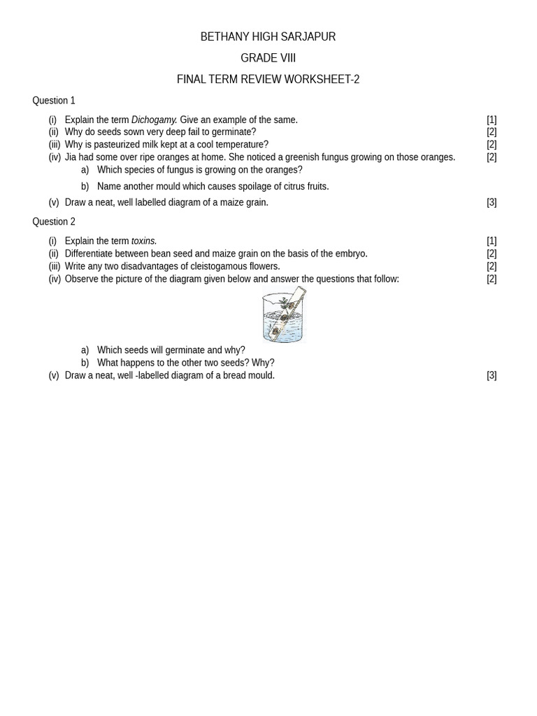 Review Ws Final Term 2 1769668723 | PDF