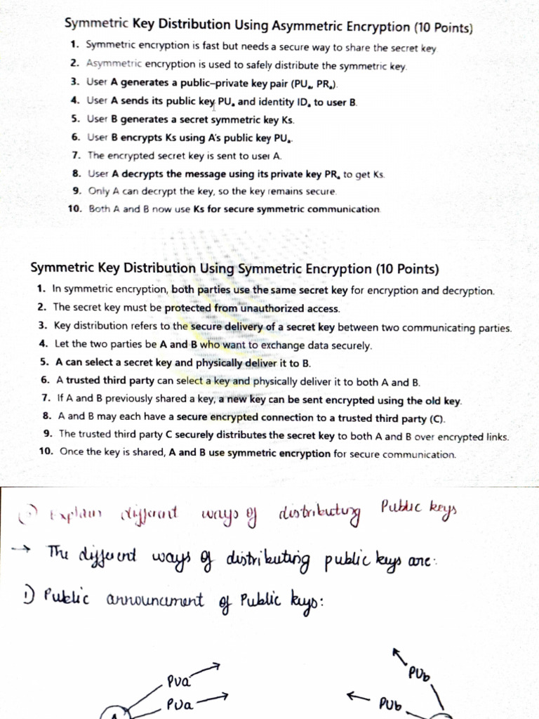 CNS 3 | PDF