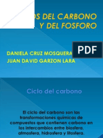 Ciclo Del Carbono Y FOSFORO