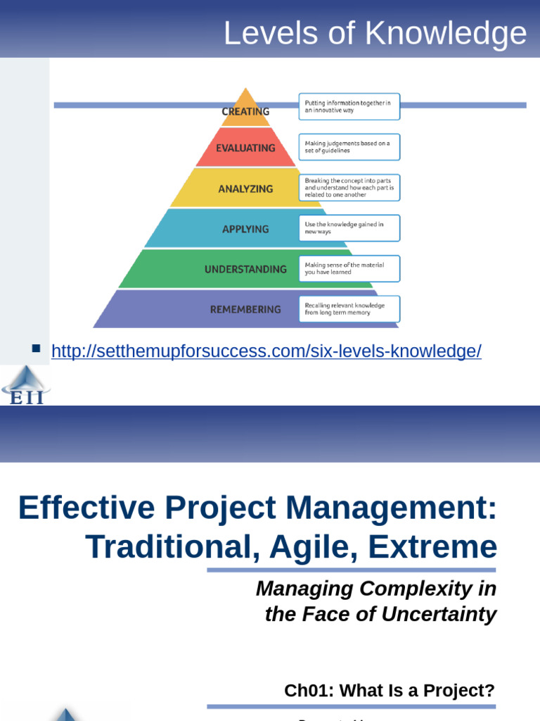Chapter1 What Is A Project | PDF | Project Management | Nasa