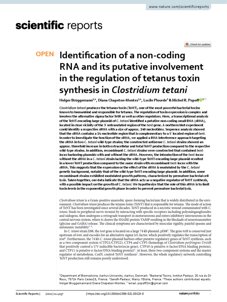 Identification of A Non Coding RNA and Its Putative Involvement in The ...