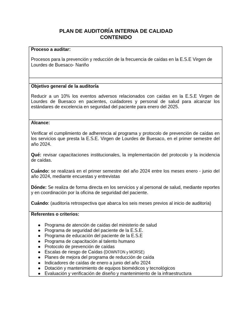 Formato Plan de Auditoria de Calidad | PDF | Seguridad del paciente ...