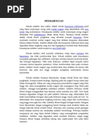 Download Laporan Pengisian Dan Pengosongan Induktor by Suity My SN100262502 doc pdf