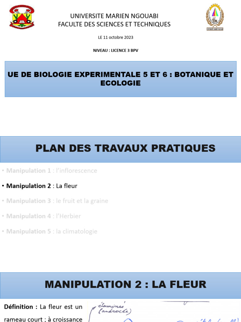 TP L3 BPV LA Fleur | PDF | Fleurs | Branches de la Botanique