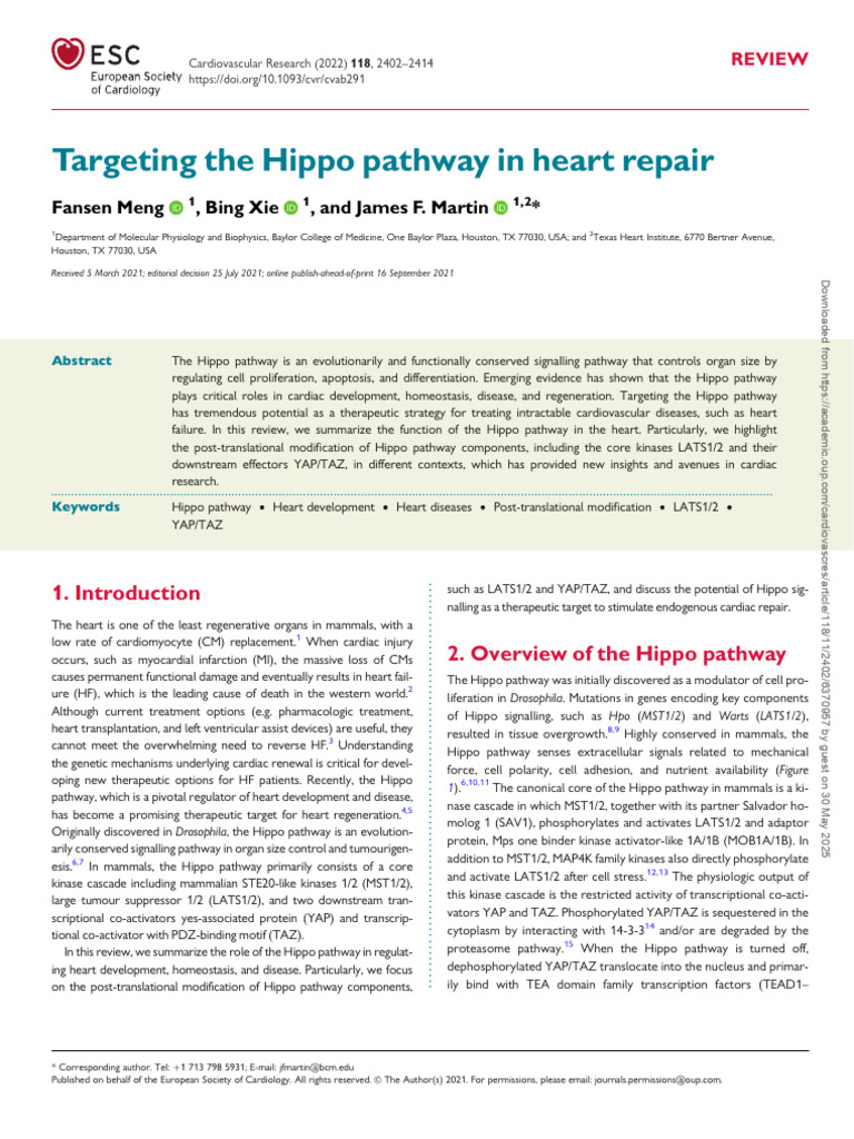 Targeting The Hippo Pathway in Heart Repair | PDF | Ubiquitin | Signal ...