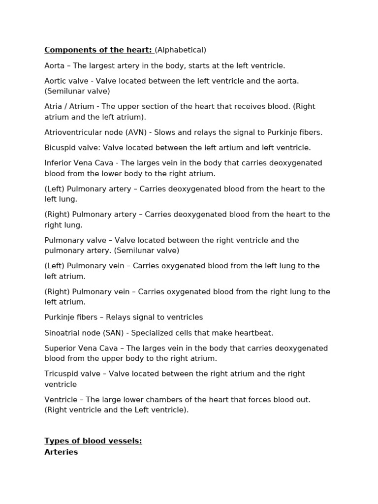 The Heart | PDF