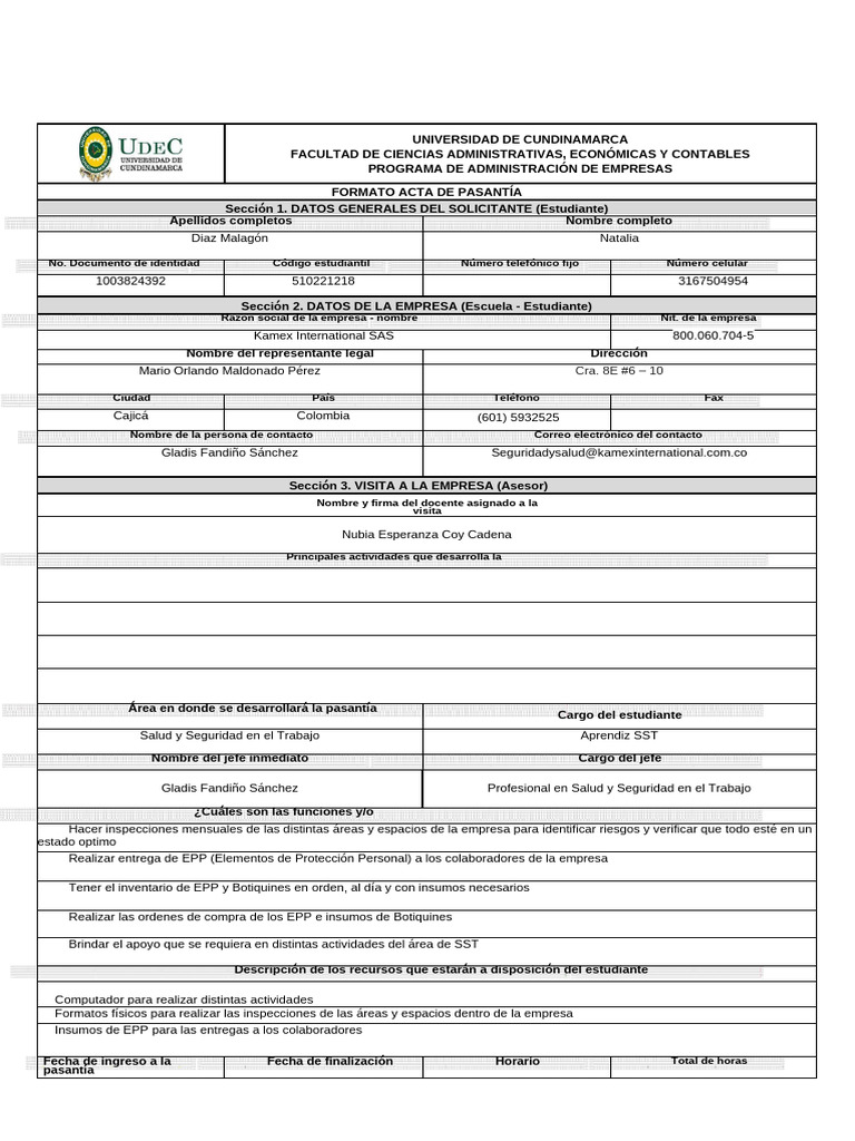 Formato Acta de Inicio | PDF