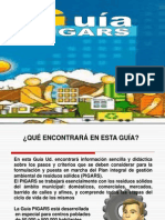 Guía PIGARS PDF