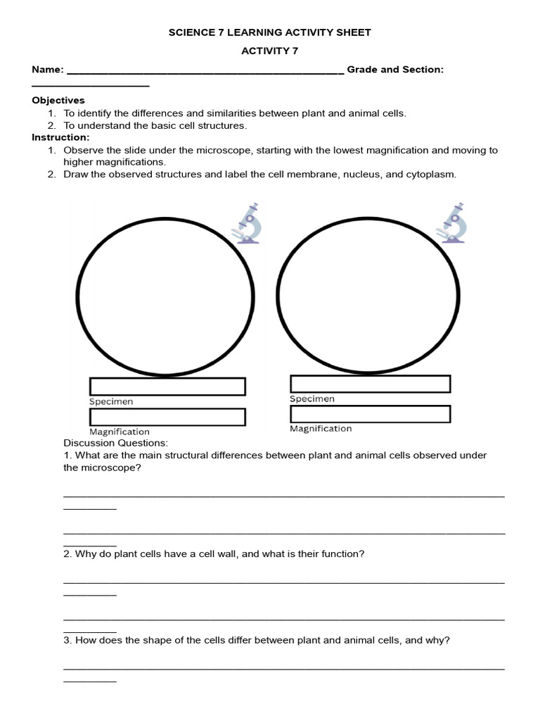 Sci7 Activity 7 | PDF