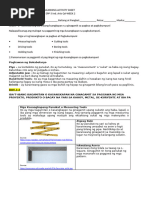 Ibat Ibang Uri NG Kahoy - PDF - 20250325 - 110404 - 0000 1 | PDF