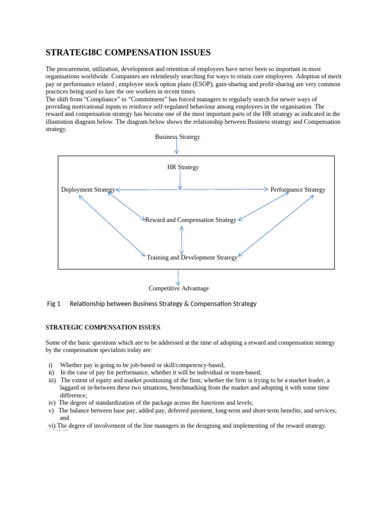 Strategic Compensation Issues | PDF | Employment | Motivation
