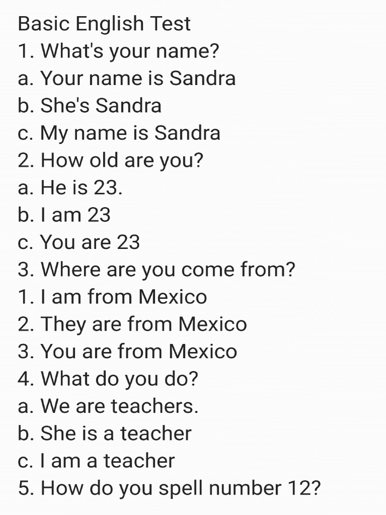 Basic English Test | PDF