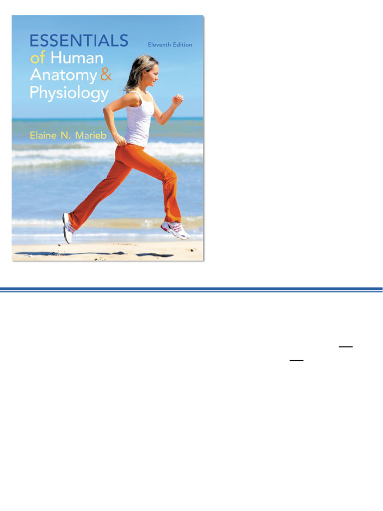 Chapter 4 Skin and Body Membranes | PDF | Skin | Epidermis