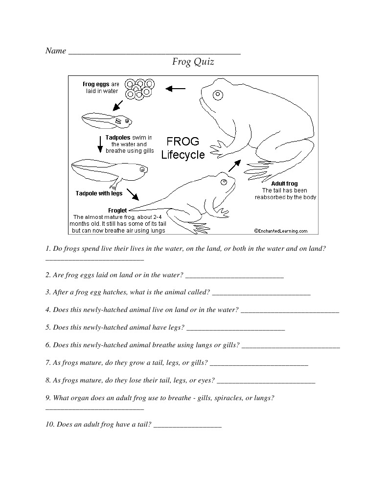 Frogquiz PDF | PDF