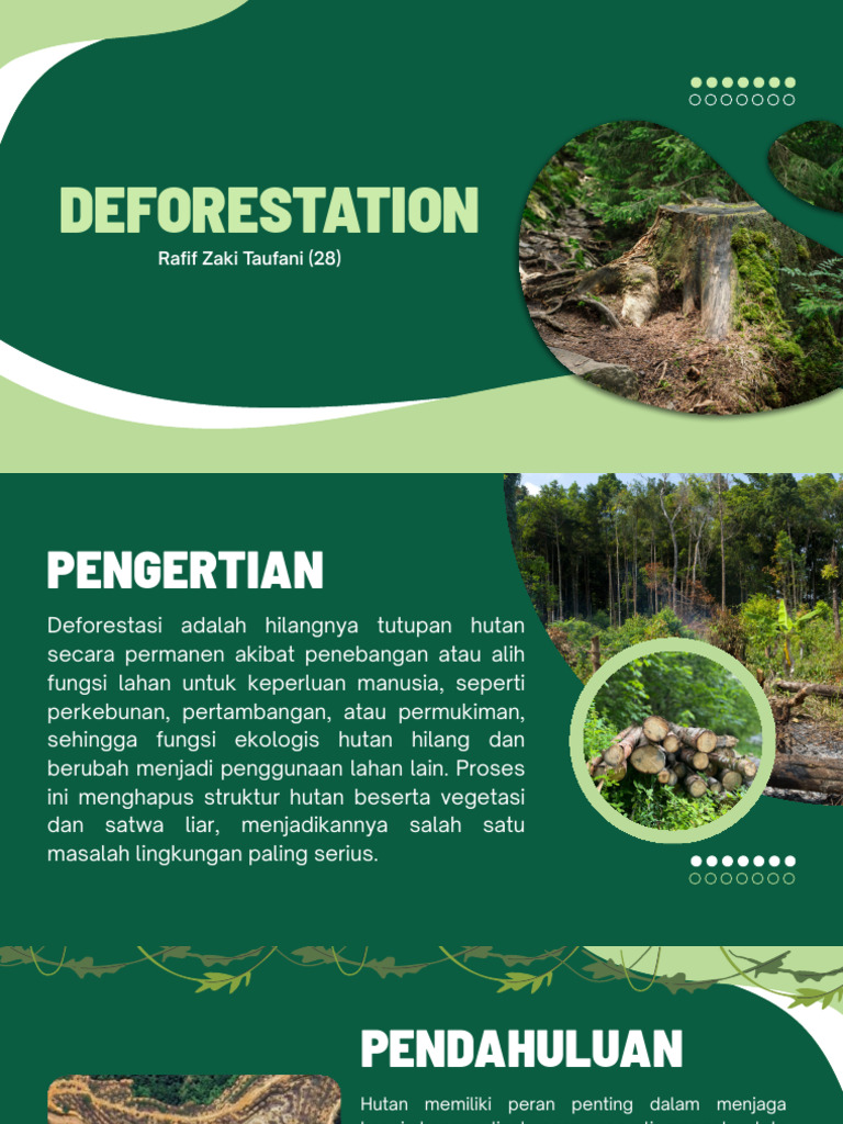 Dark Green White and Light Green Minimalist Deforestation and Climate ...