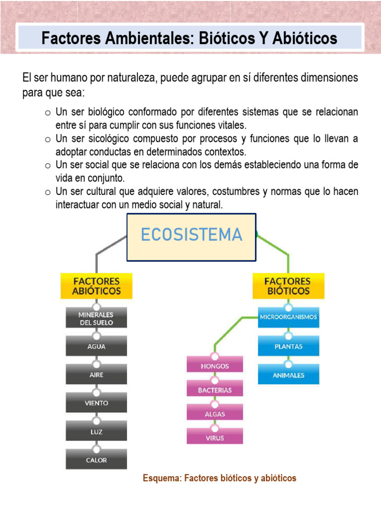 Factores Ambientales | PDF | Agua | Entorno natural