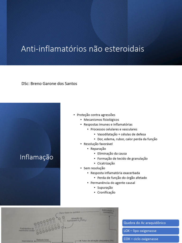 7 Anti-Inflamatórios Não Esteroidais | PDF | Anti-inflamatório não ...